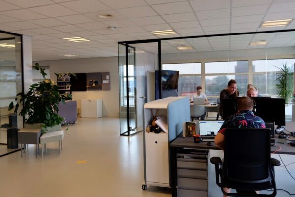 SAP Consultancy